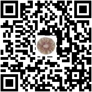 Code QR du produit