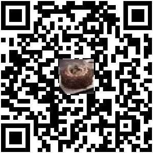 Code QR du produit