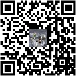 Code QR du produit
