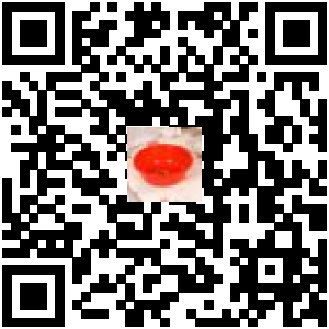 Code QR du produit